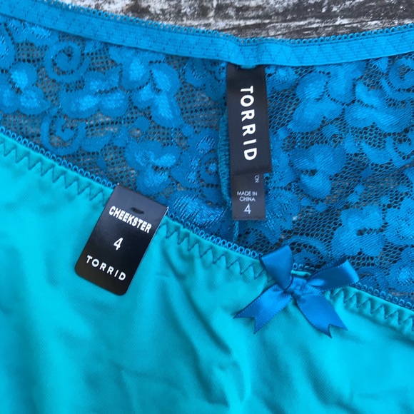 Torrid Lace Cheekster Panty Underwear - Picture 8 of 8
